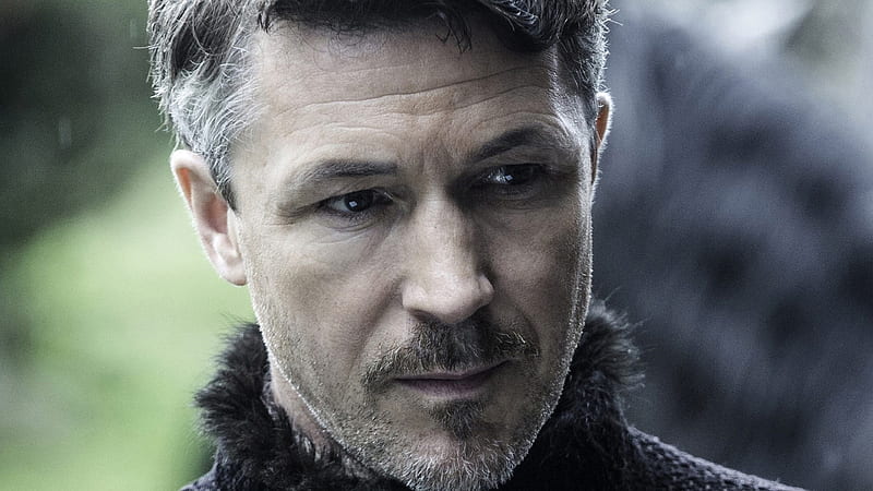 What is Aidan Gillen's Net Worth?